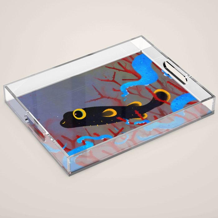 Stealthily Acrylic Tray Gallery Image 1