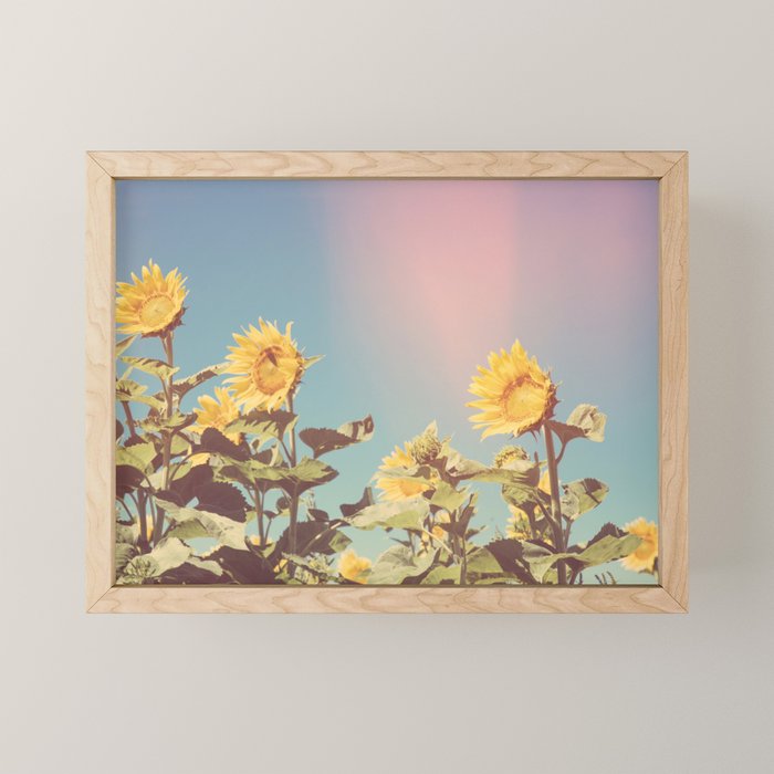 Retro Sunflowers - Nature Photography Mini Art Print Gallery Image 1