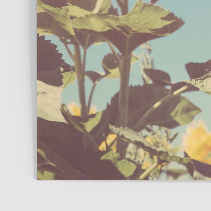 Retro Sunflowers - Nature Photography Poster Gallery Image 3
