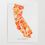 California Poppies Poster Gallery Image 4