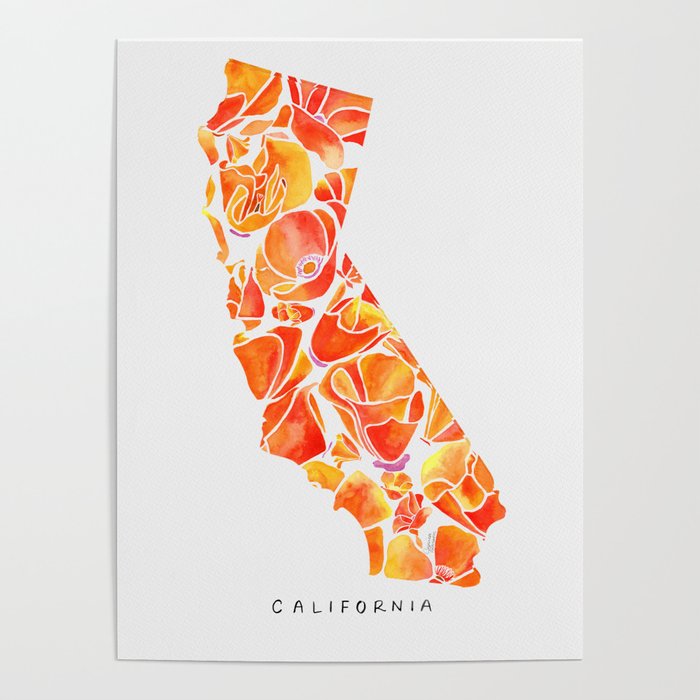 California Poppies Poster Gallery Image 4