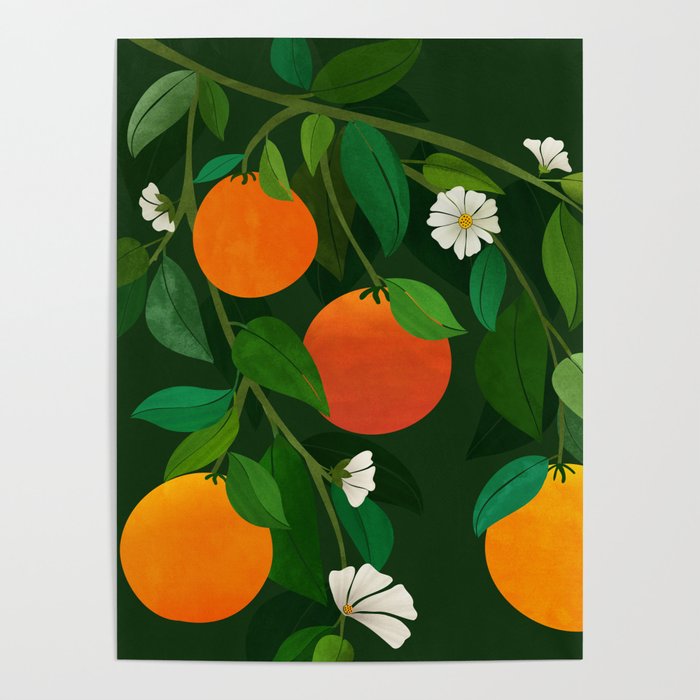 Oranges and Blossoms Botanical Illustration Poster Gallery Image 4