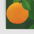 Oranges and Blossoms Botanical Illustration Poster Gallery Image 3