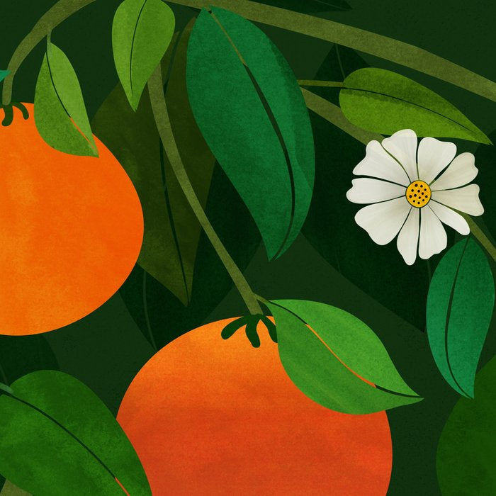 Oranges and Blossoms Botanical Illustration Coffee Mug Gallery Image 2