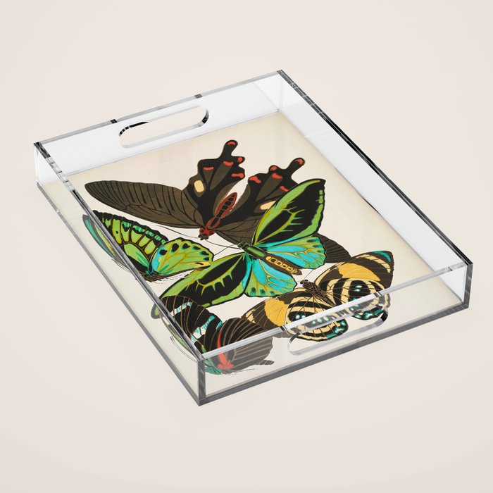 Vintage Butterfly Illustration EA Seguy Papillon Acrylic Tray Gallery Image 1