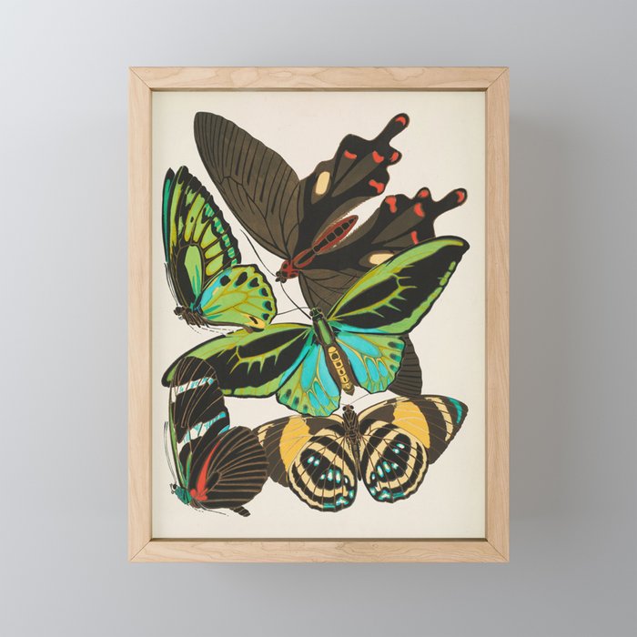 Vintage Butterfly Illustration EA Seguy Papillon Mini Art Print Gallery Image 1