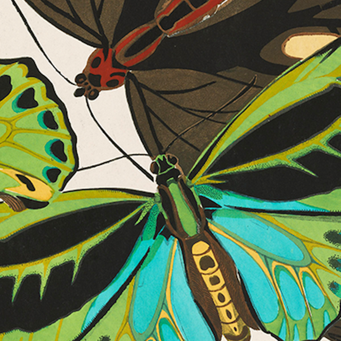 Vintage Butterfly Illustration EA Seguy Papillon Coffee Mug Gallery Image 2