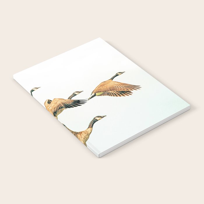 Fly Away || #photography #birds Notebook Gallery Image 2