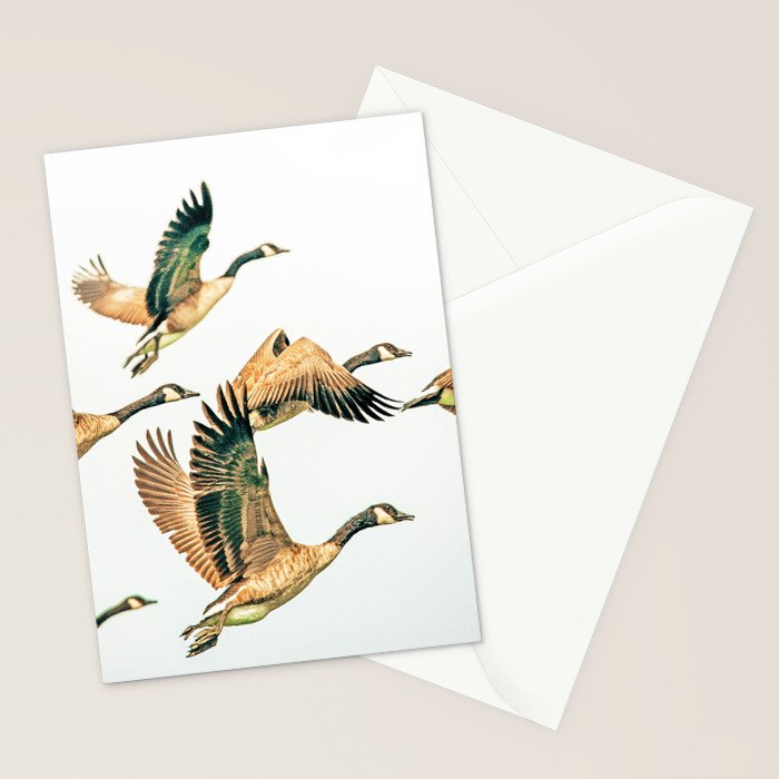 Fly Away || #photography #birds Stationery Card Gallery Image 2