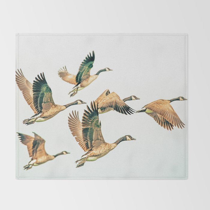 Fly Away || #photography #birds Throw Blanket Gallery Image 2
