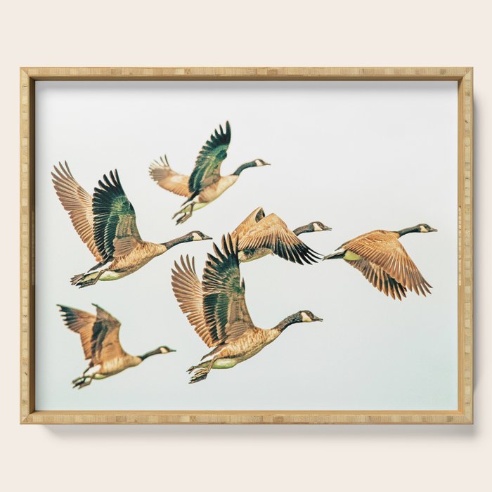 Fly Away || #photography #birds Serving Tray Gallery Image 1