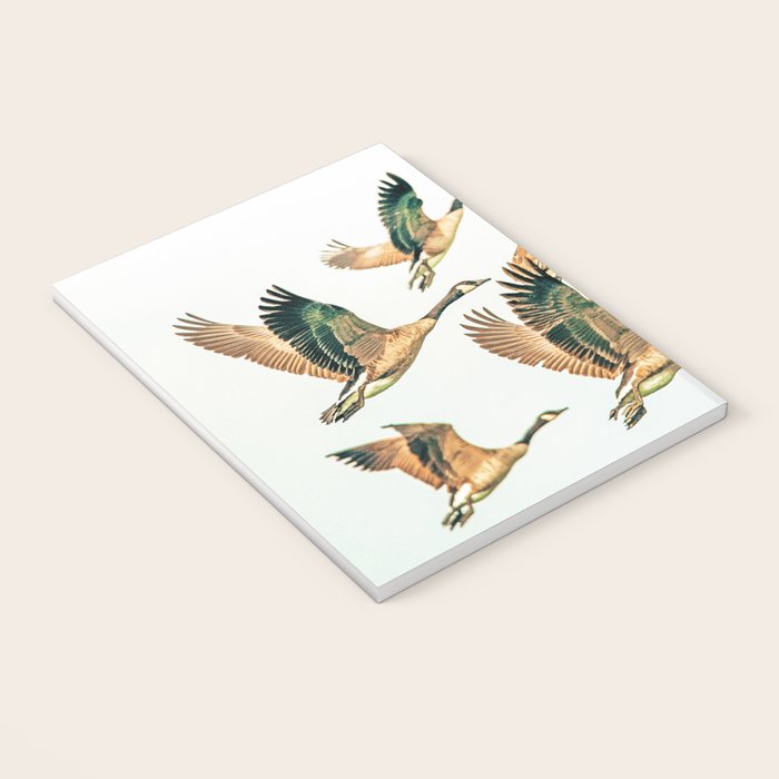 Fly Away || #photography #birds Notebook Gallery Image 3