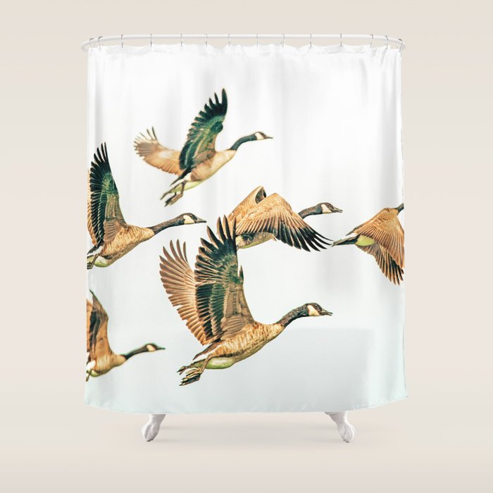Fly Away || #photography #birds Shower Curtain Gallery Image 1