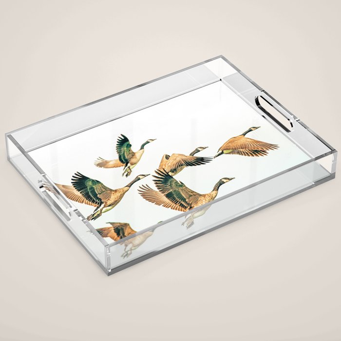 Fly Away || #photography #birds Acrylic Tray Gallery Image 1