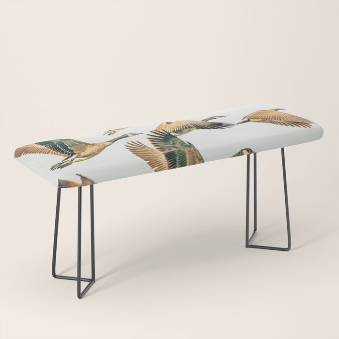 Fly Away || #photography #birds Bench Gallery Image 1