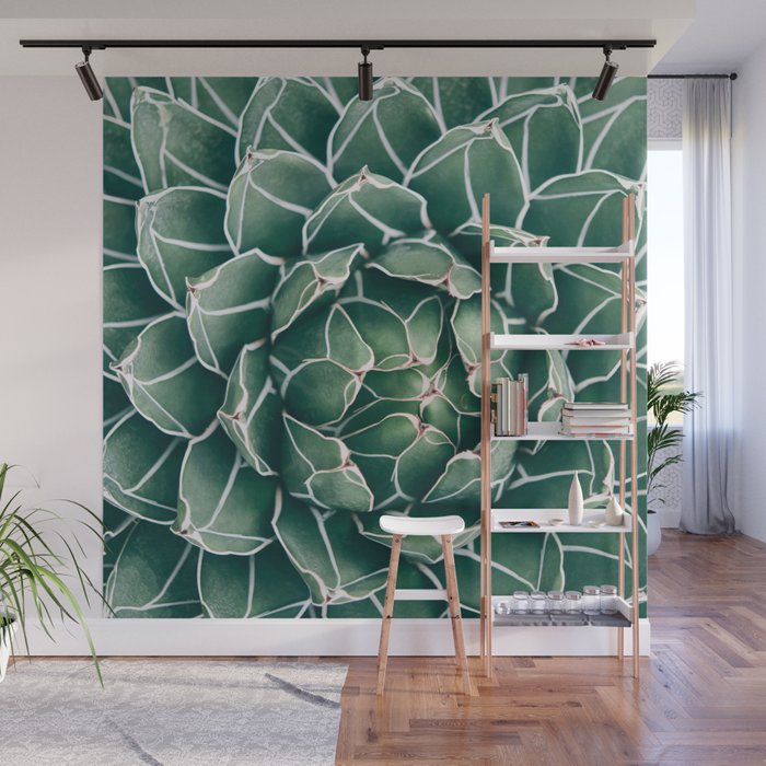 Succulent bloom II Wall Mural Gallery Image 1