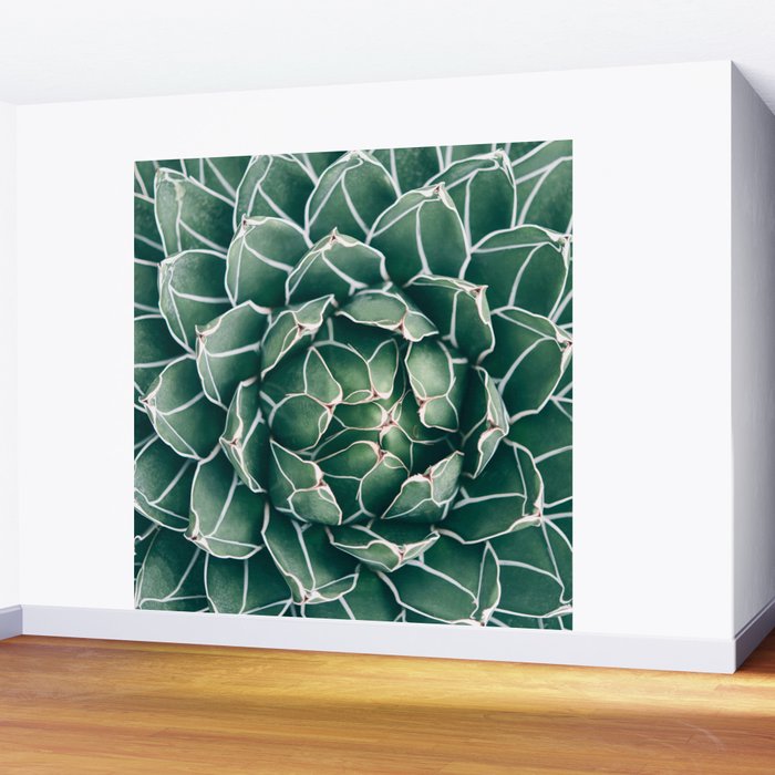 Succulent bloom II Wall Mural Gallery Image 2