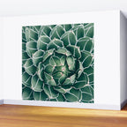 Succulent bloom II Wall Mural Gallery Image 2