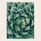 Succulent bloom II Poster Gallery Image 4