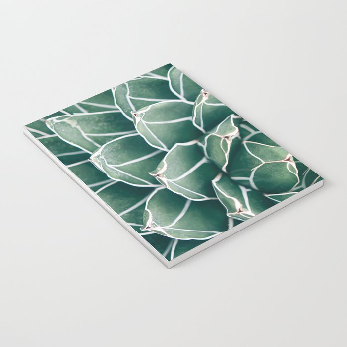 Succulent bloom II Notebook Gallery Image 3