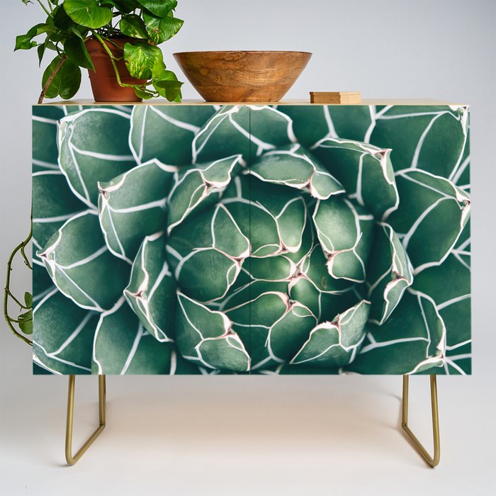 Succulent bloom II Credenza Gallery Image 1