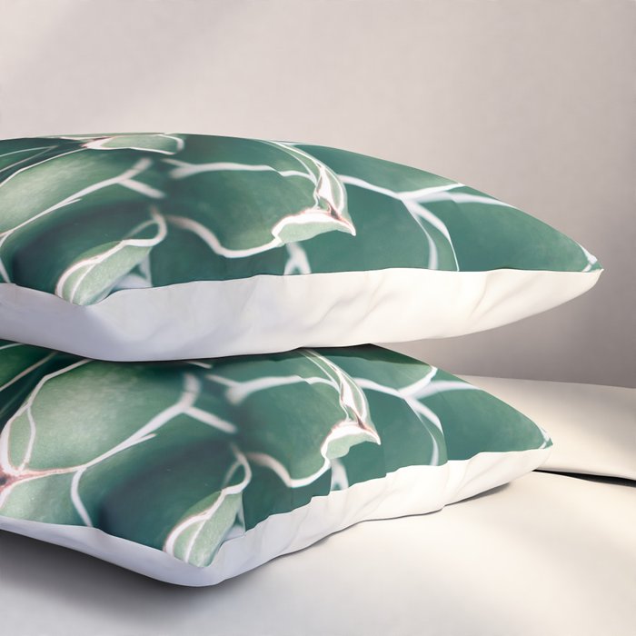 Succulent bloom II Pillow Sham Gallery Image 3