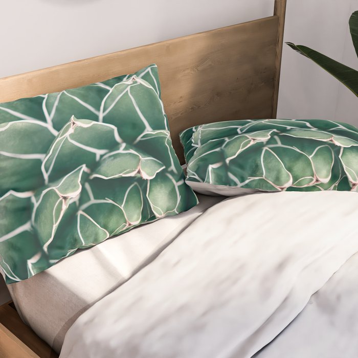Succulent bloom II Pillow Sham Gallery Image 2