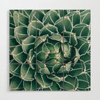 Succulent bloom II Wood Wall Art Gallery Image 1