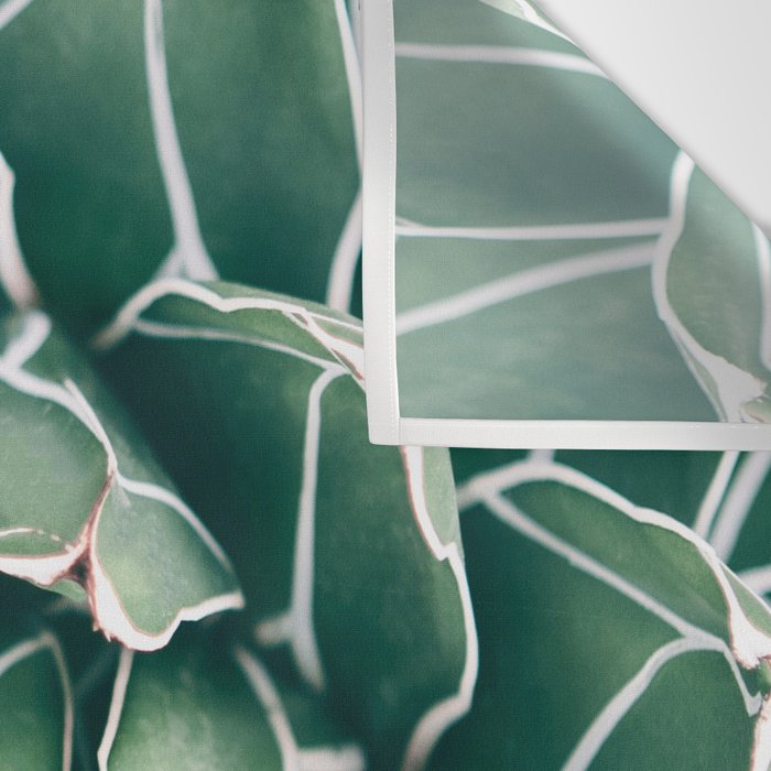 Succulent bloom II Wall Tapestry Gallery Image 3