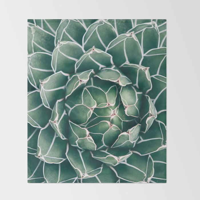 Succulent bloom II Throw Blanket Gallery Image 2