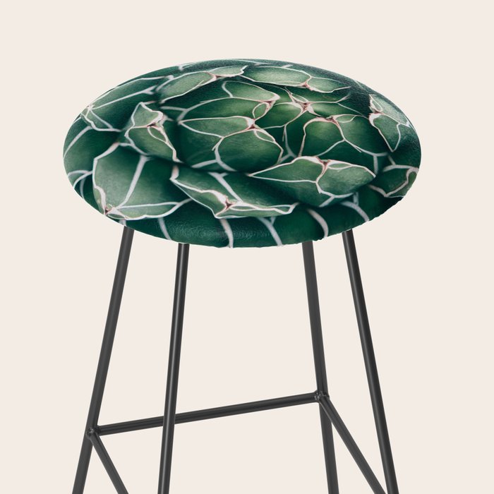 Succulent bloom II Stool Gallery Image 2