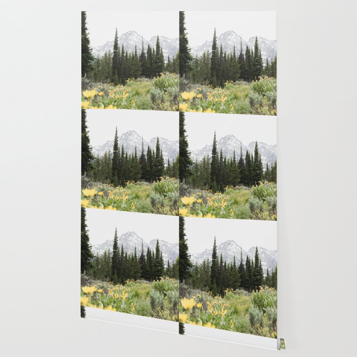 Grand Teton National Park Wildflower Adventure - Wanderlust Mountains Wallpaper Gallery Image 2