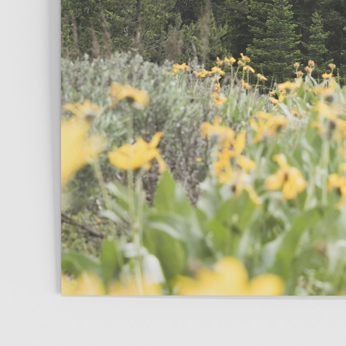 Grand Teton National Park Wildflower Adventure - Wanderlust Mountains Poster Gallery Image 3