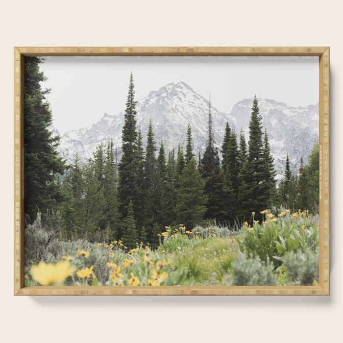 Grand Teton National Park Wildflower Adventure - Wanderlust Mountains Serving Tray Gallery Image 1