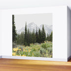 Grand Teton National Park Wildflower Adventure - Wanderlust Mountains Wall Mural Gallery Image 2