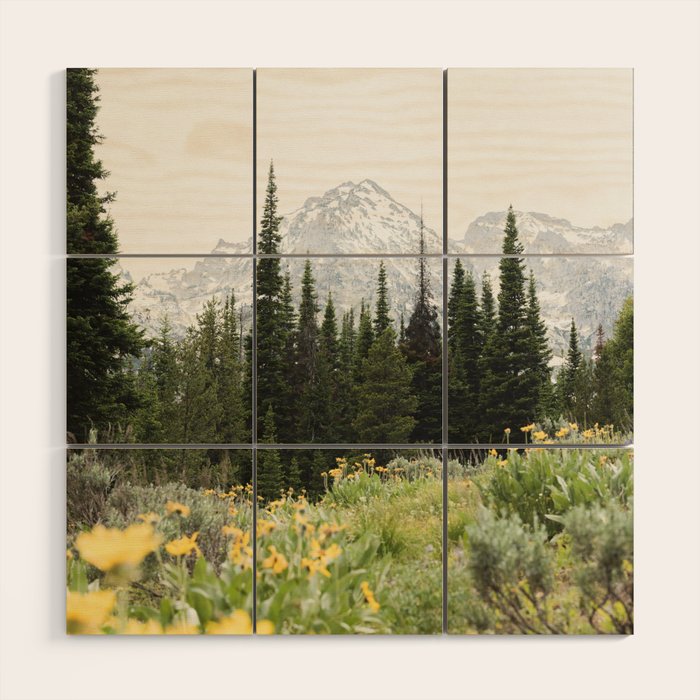 Grand Teton National Park Wildflower Adventure - Wanderlust Mountains Wood Wall Art Gallery Image 1