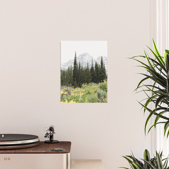 Grand Teton National Park Wildflower Adventure - Wanderlust Mountains Poster Gallery Image 2