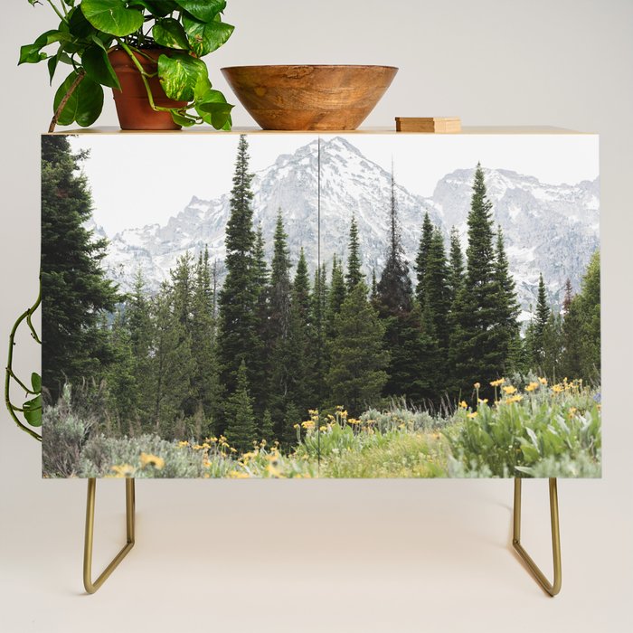 Grand Teton National Park Wildflower Adventure - Wanderlust Mountains Credenza Gallery Image 1