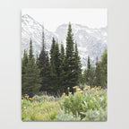 Grand Teton National Park Wildflower Adventure - Wanderlust Mountains Notebook Gallery Image 4