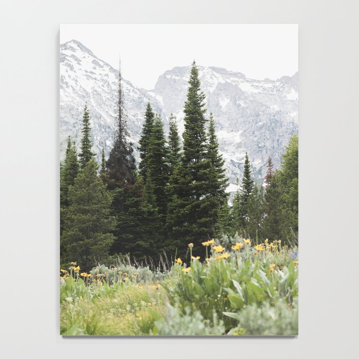 Grand Teton National Park Wildflower Adventure - Wanderlust Mountains Notebook Gallery Image 4