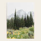 Grand Teton National Park Wildflower Adventure - Wanderlust Mountains Poster Gallery Image 4