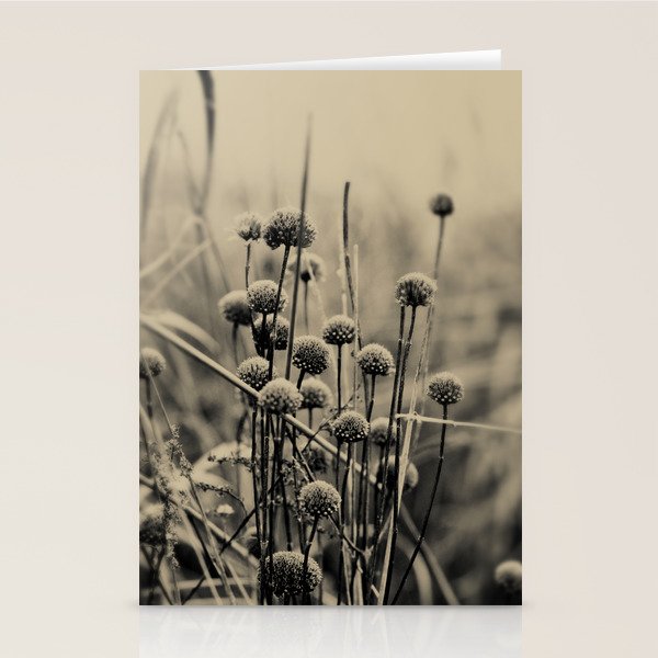 The Congregation Stationery Card Gallery Image 2