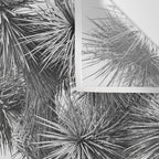 Black and White Cactus - Joshua Tree Wall Tapestry Gallery Image 3