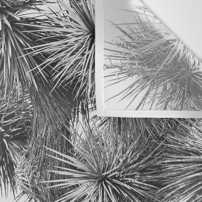 Black and White Cactus - Joshua Tree Wall Tapestry Gallery Image 3