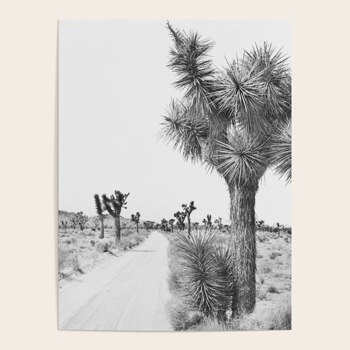 Black and White Cactus - Joshua Tree Poster Gallery Image 4