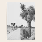 Black and White Cactus - Joshua Tree Poster Gallery Image 4