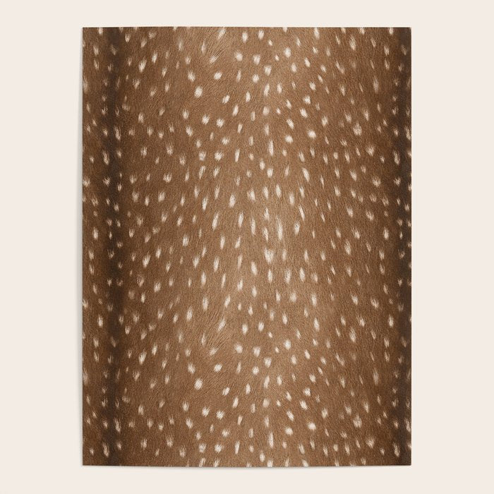 Deer Hide Poster Gallery Image 4