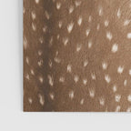 Deer Hide Poster Gallery Image 3