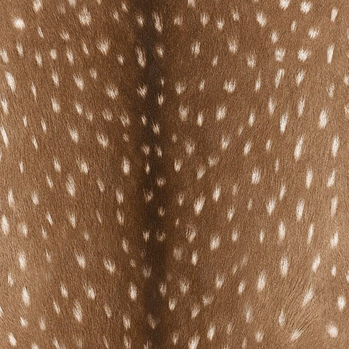 Deer Hide Coffee Mug Gallery Image 2