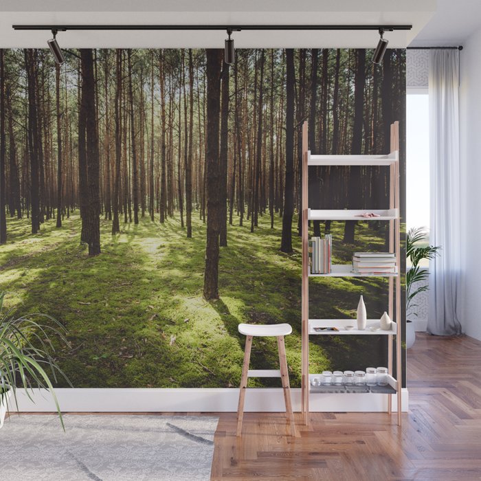 FOREST - Landscape and Nature Photography Wall Mural Gallery Image 1
